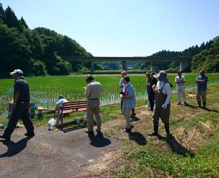 村社会