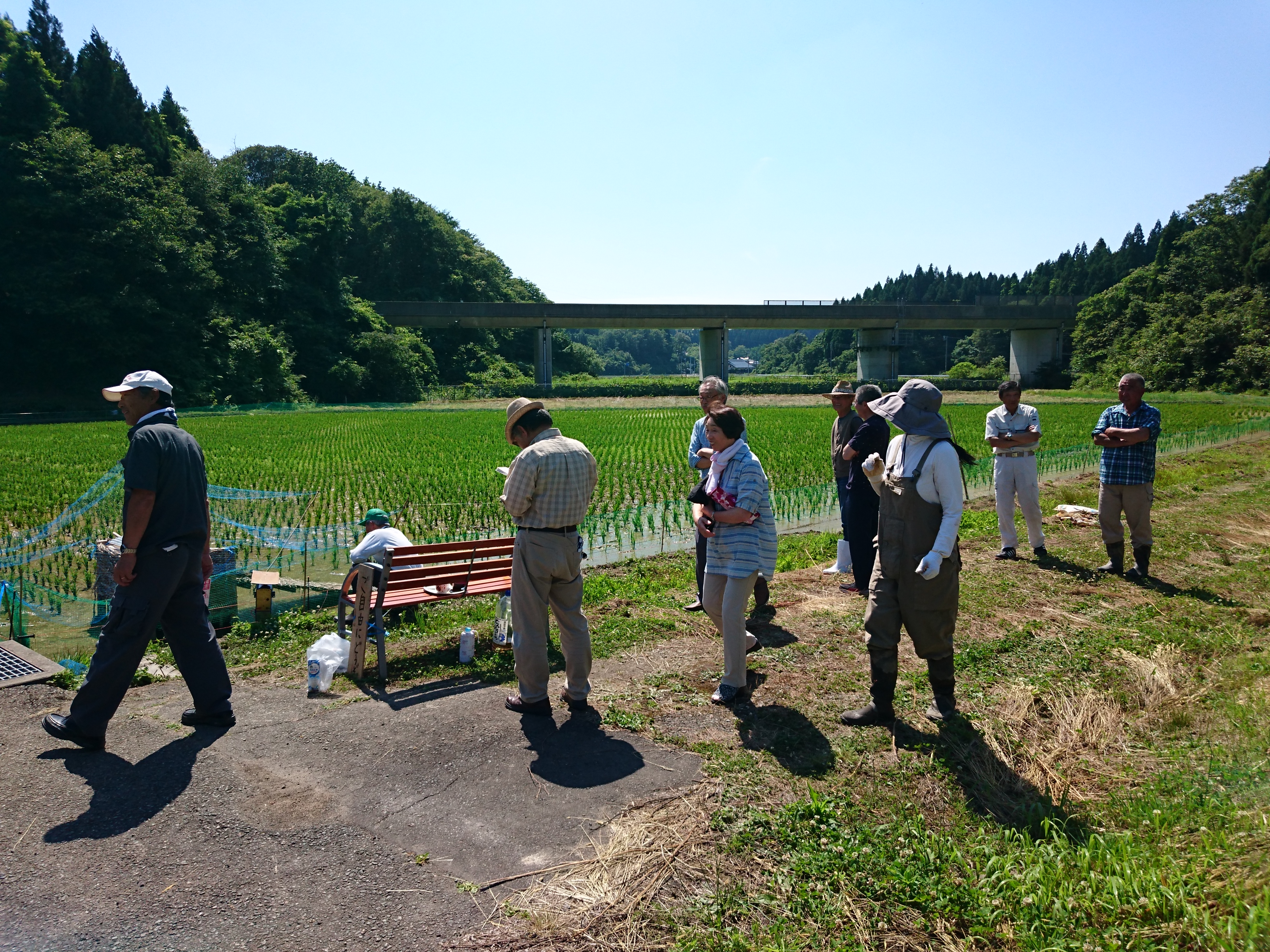 村社会
