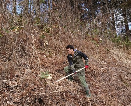 ①発症は条件次第で抑えられる　現状の確認