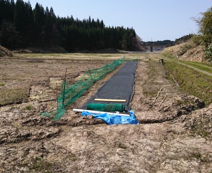昨年の秋からここまでのまとめ