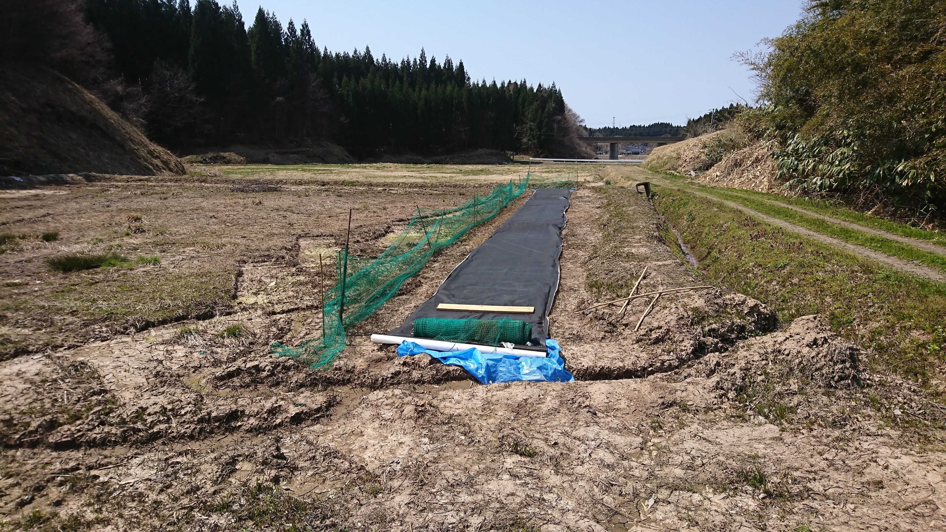 昨年の秋からここまでのまとめ