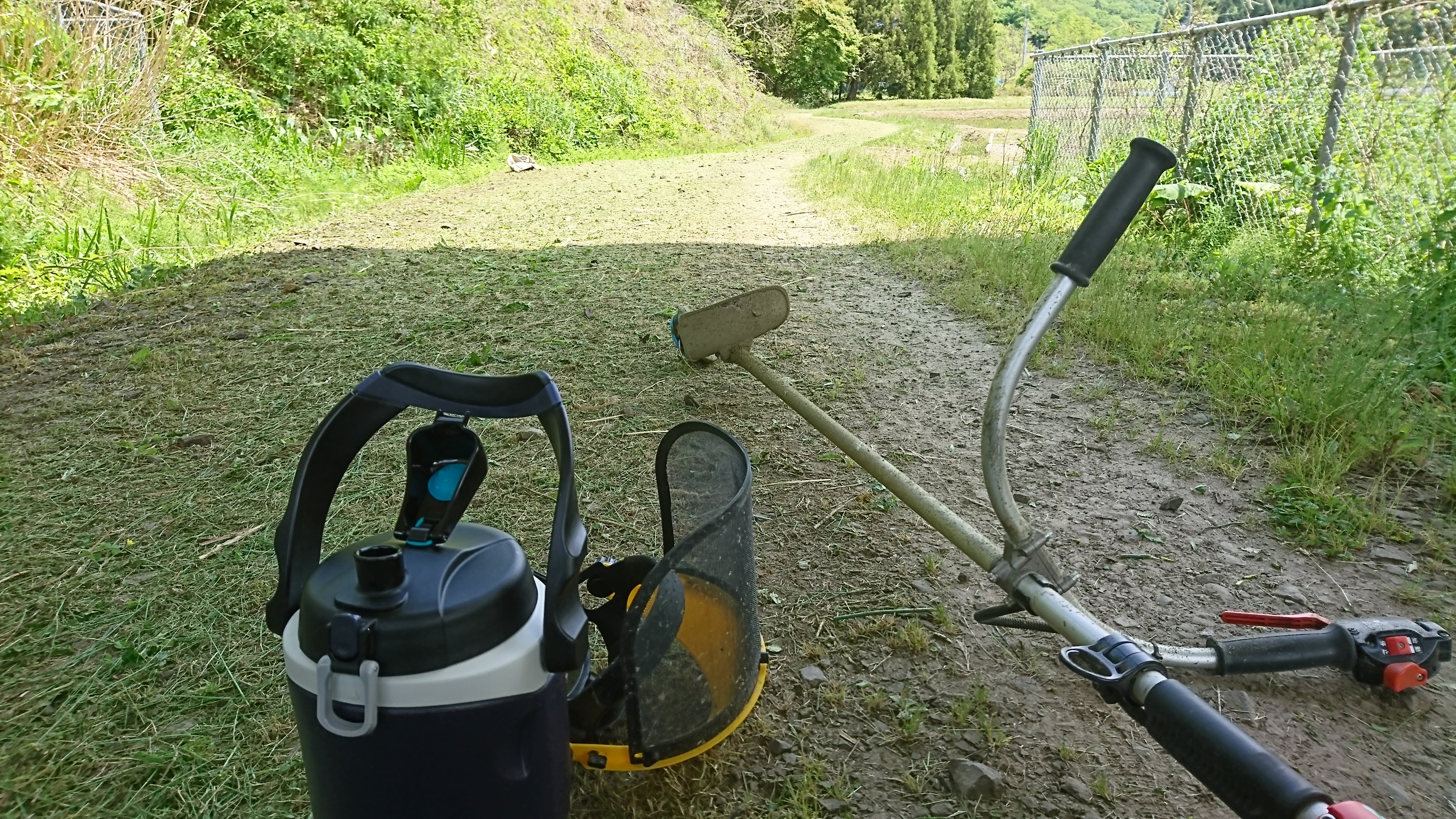 夏の匂いの雨