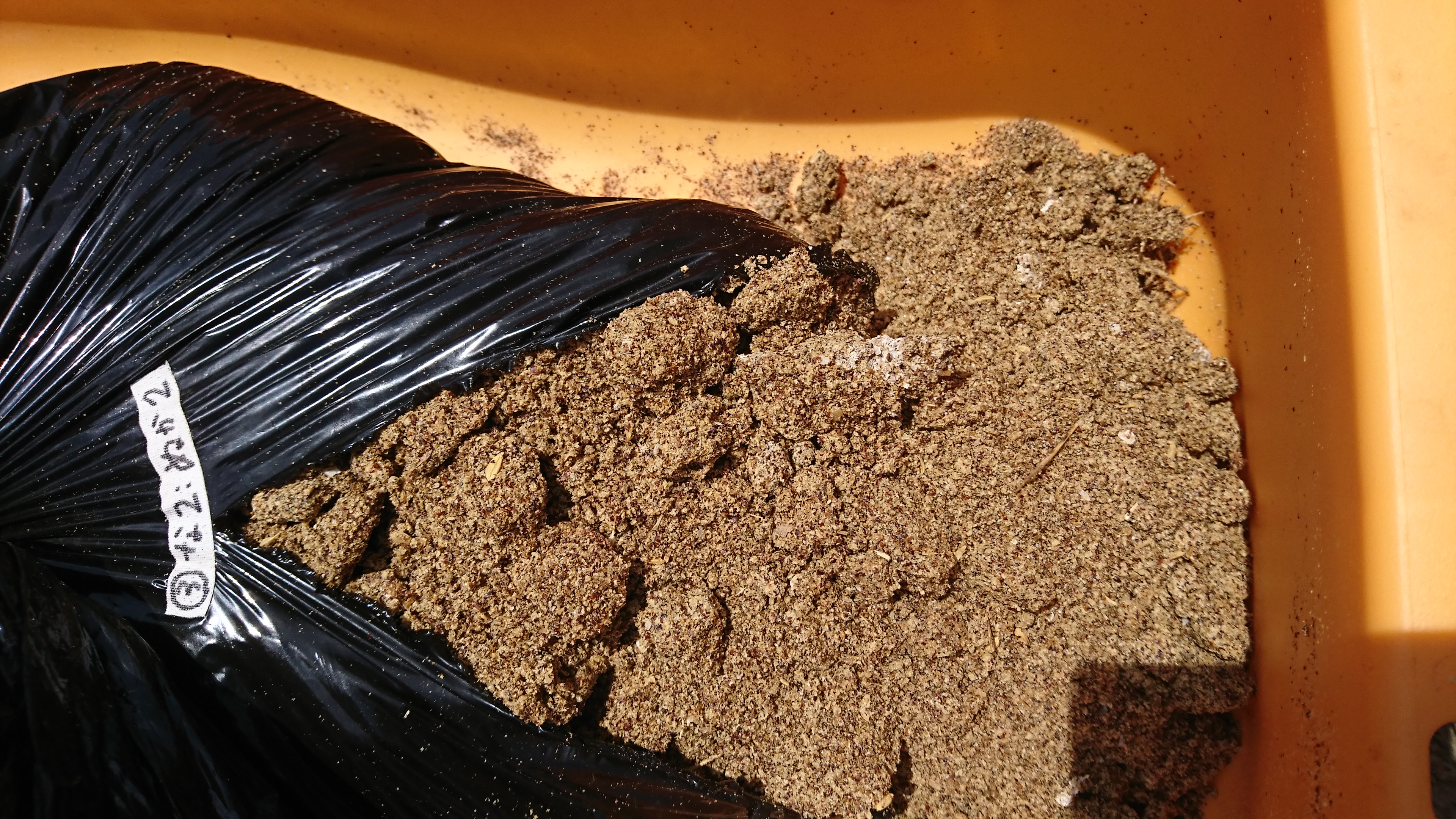 田植え翌日に米ぬかぼかし肥料投入