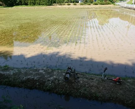 欠株の原因 水深の調整