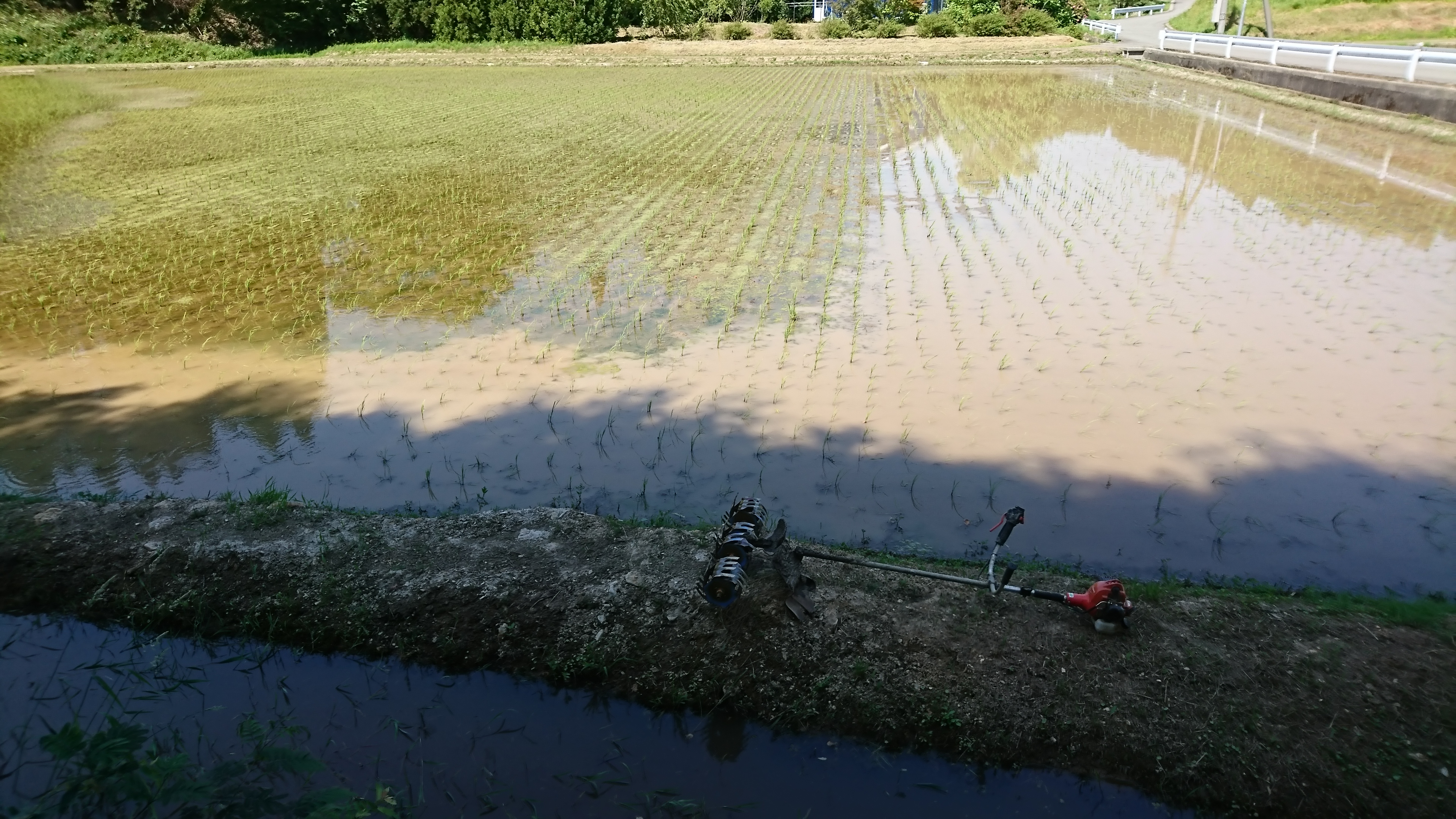 欠株の原因 水深の調整