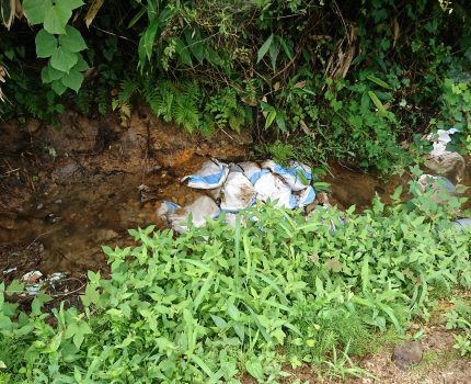 河川氾濫後の圃場