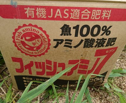 アミノフィッシュ7を追肥