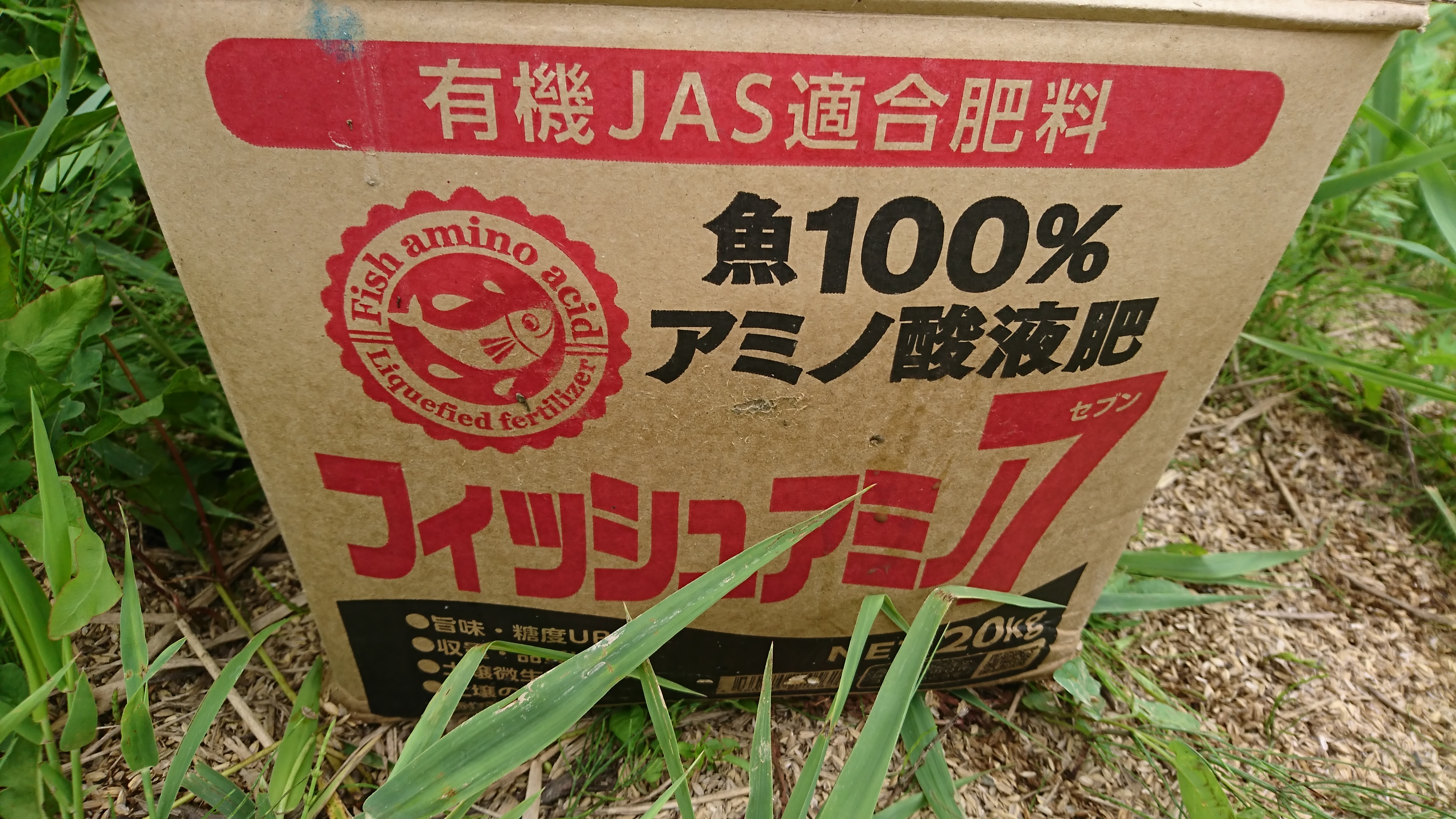 アミノフィッシュ7を追肥