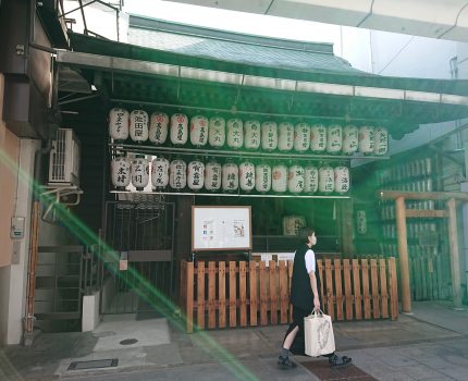 闘病記録公開とプラセボ効果による完治