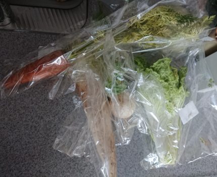 断食の効果＝病気に勝利