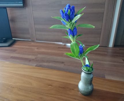 花を飾る