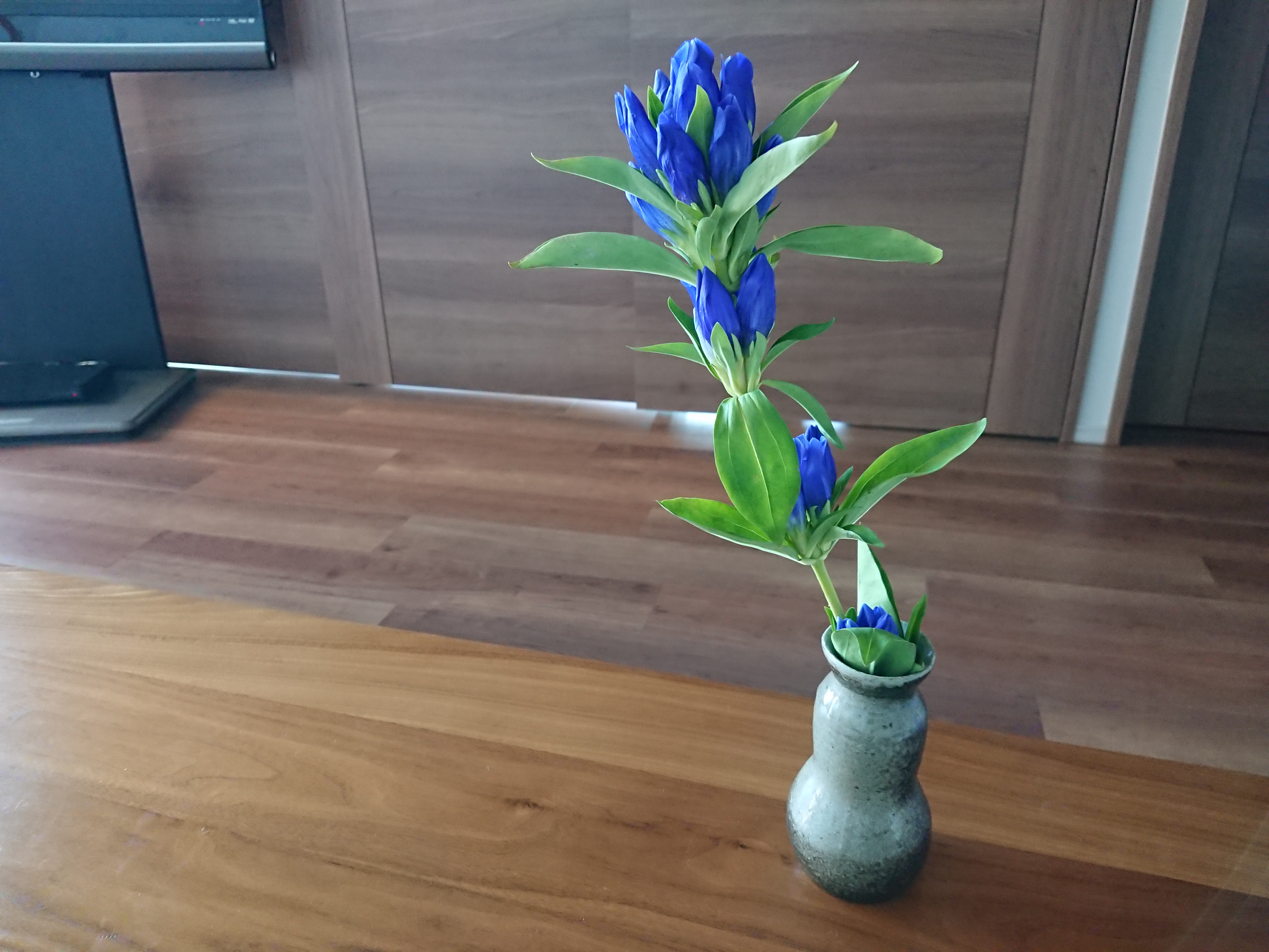 花を飾る