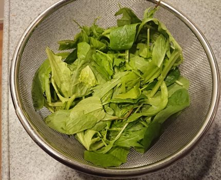 生サラダの影響