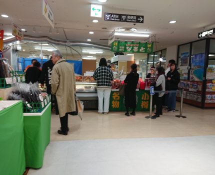 春の大北海道展と九州うまかもん
