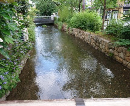 慢性疾患の原因の一つに水道水もあるはず
