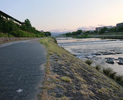 良い食生活をしないとトレーニングの成果を十分に受けれない