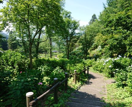 京都北部の旅　Day1