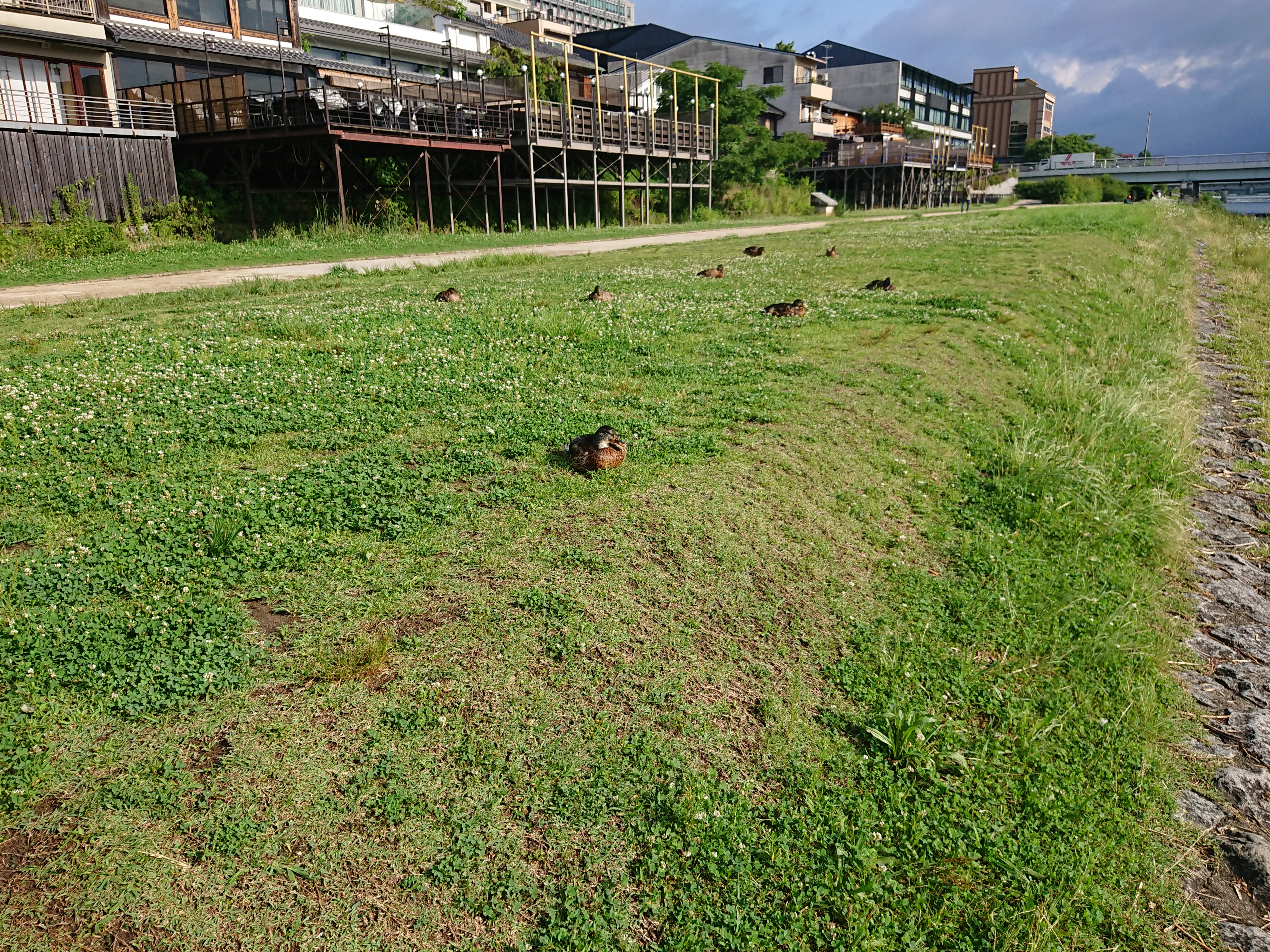 習慣と体質の遺伝