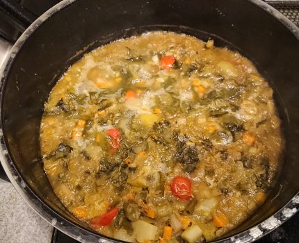 健常者に命の野菜スープとボーンブロスはどれだけ効果があるのか？十一か月目