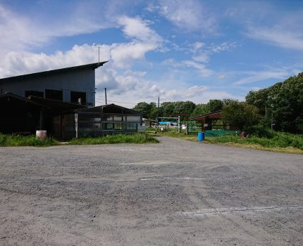 二十四節気 大暑 7月22日から8月6日くらいまで