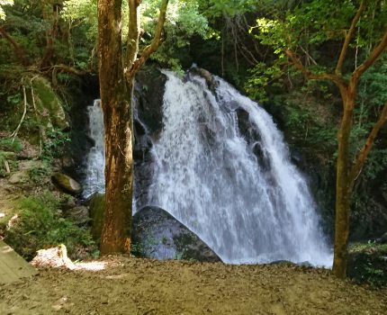 信楽町へ小旅行