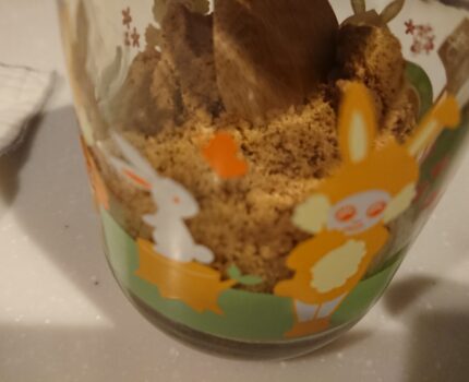 冬の乾燥肌、痒みに蜂蜜