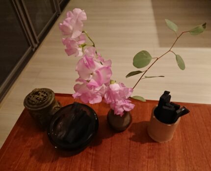 縄文型H子さん、病院を探す