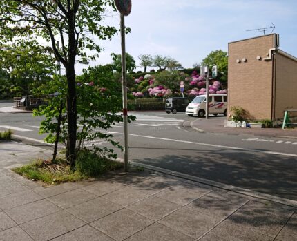 さようならアレルギー