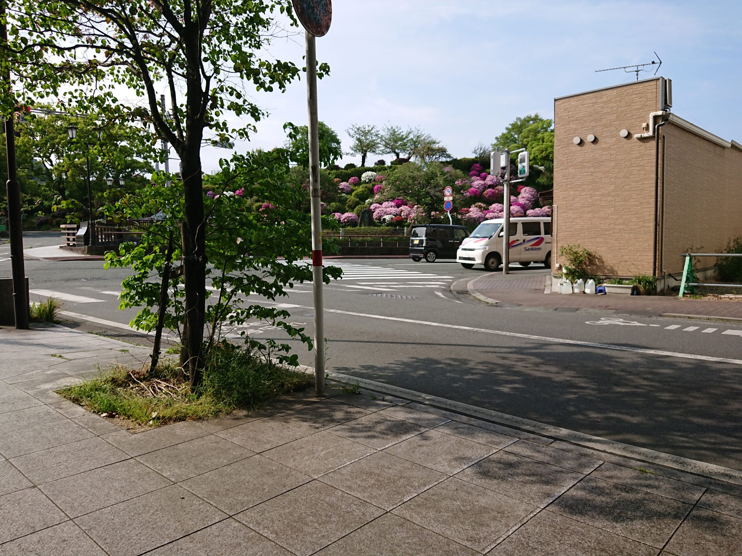 さようならアレルギー