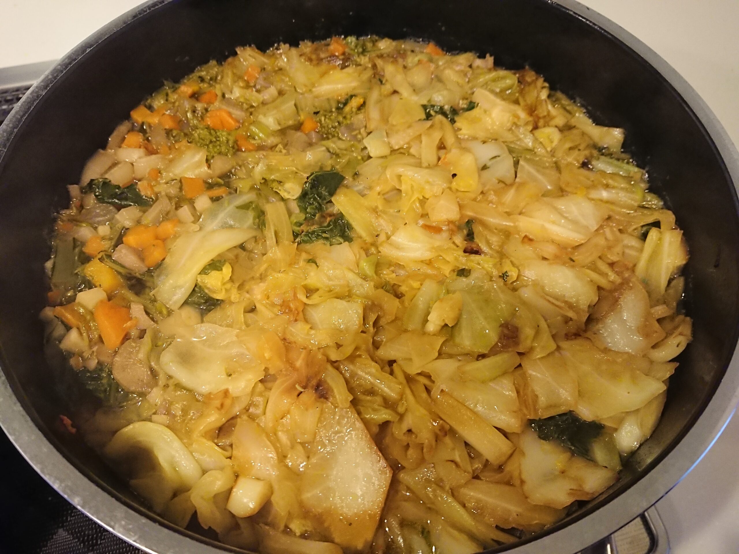 健常者に命の野菜スープはどれだけ効果があるのか？十九か月目