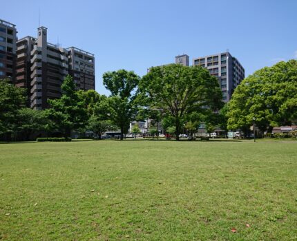 視野が狭まると春は緑だった