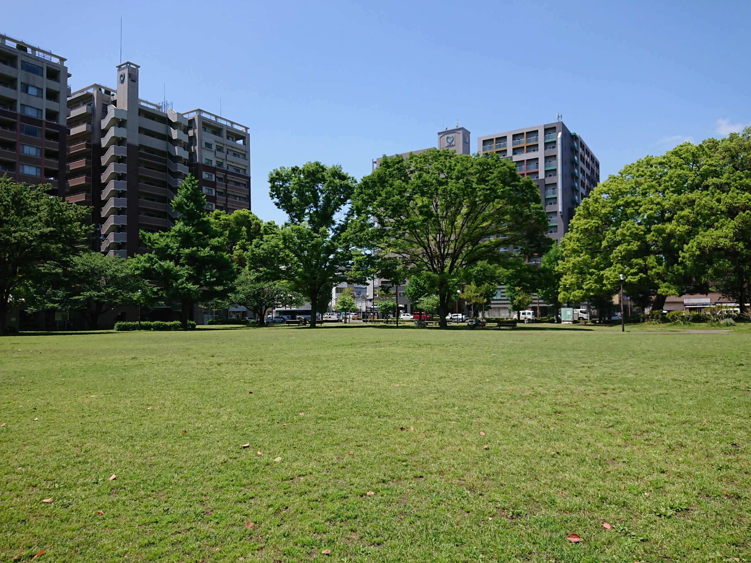 視野が狭まると春は緑だった