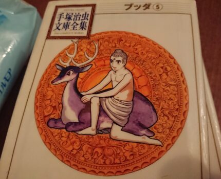 何も決めない、強制しない