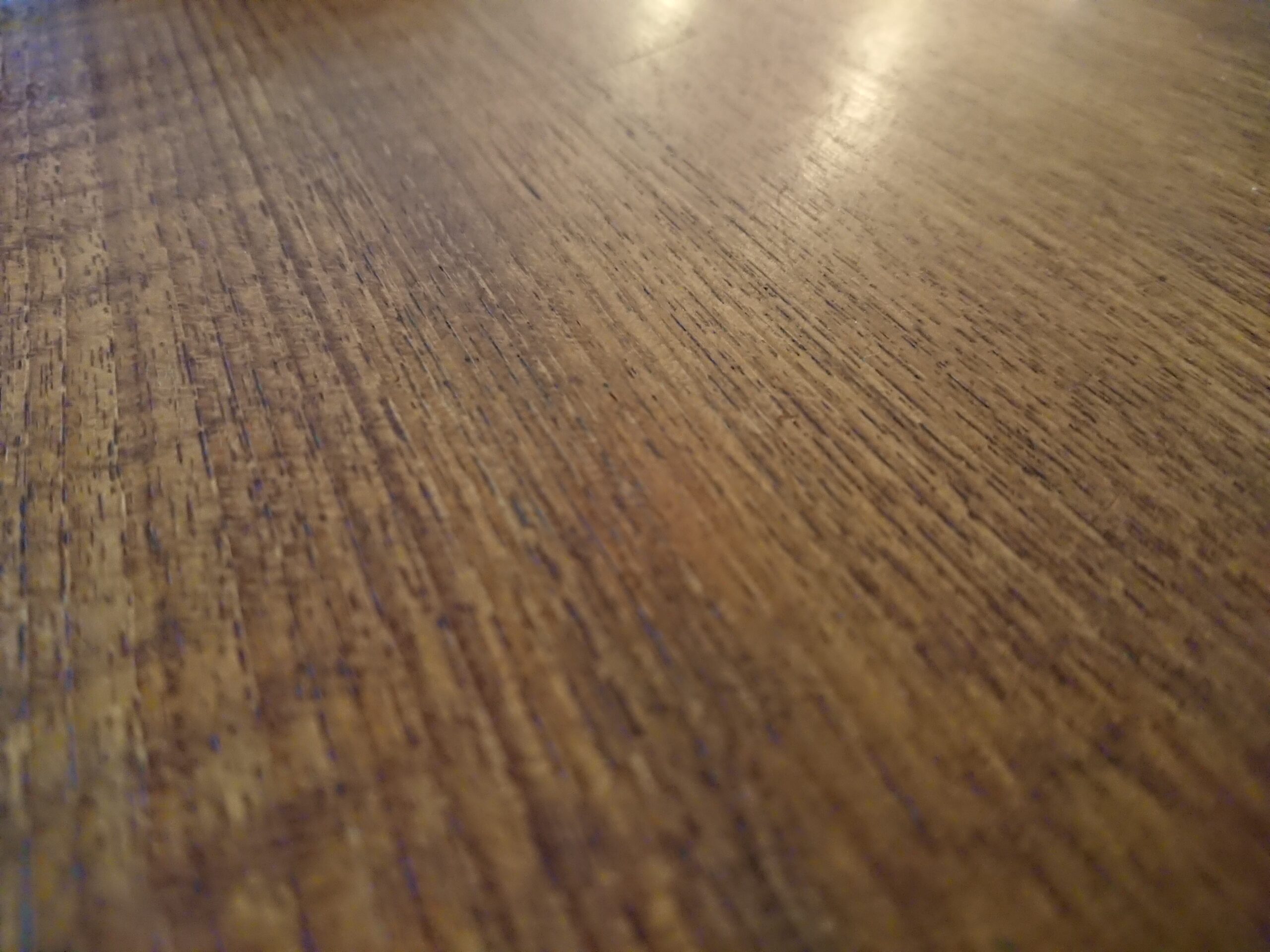 リーキーガット症候群の本質