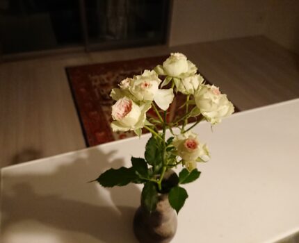 僕と同じ人