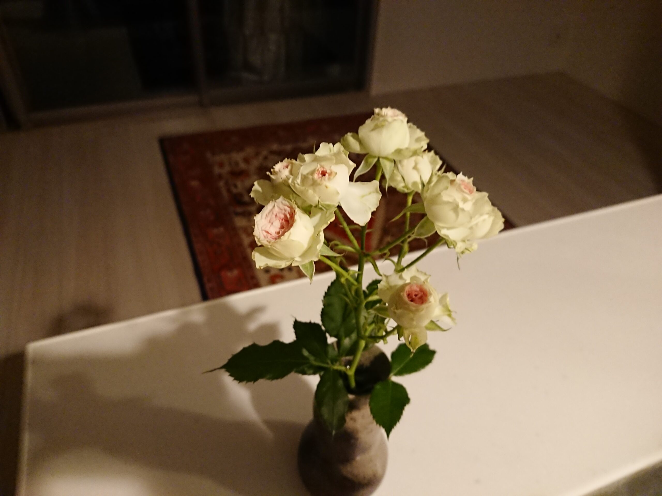 僕と同じ人