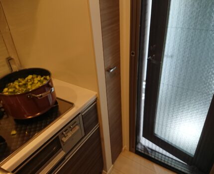 家食問題解決、二酸化炭素