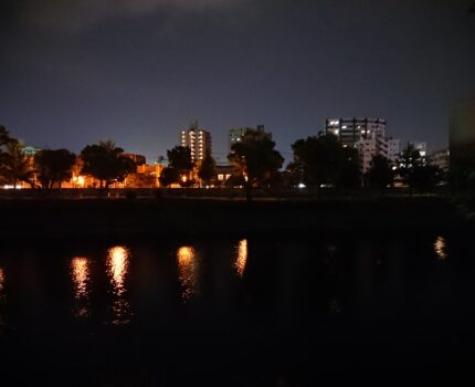11時間睡眠