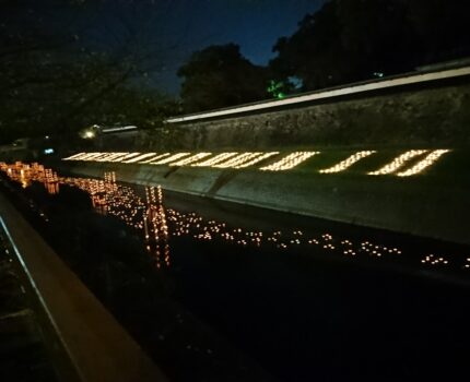 城下町くまもと銀杏祭　みずあかり