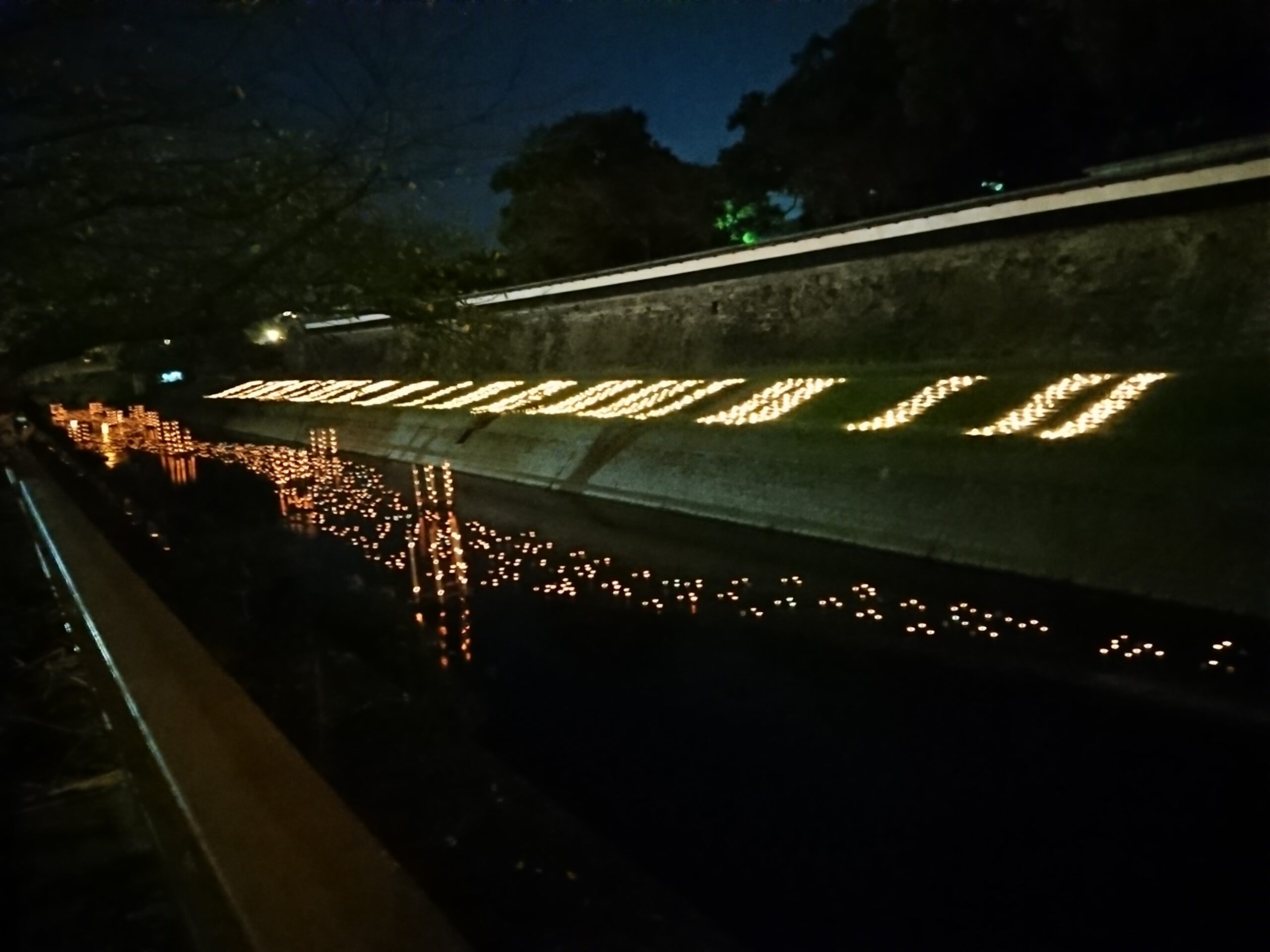 城下町くまもと銀杏祭　みずあかり