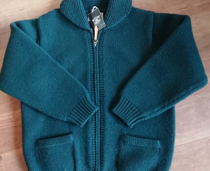 姿勢と命の野菜スープの玉