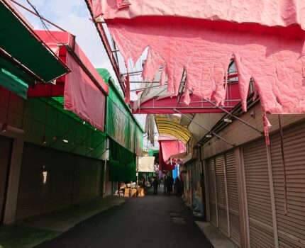 何でも食べれる有難さ