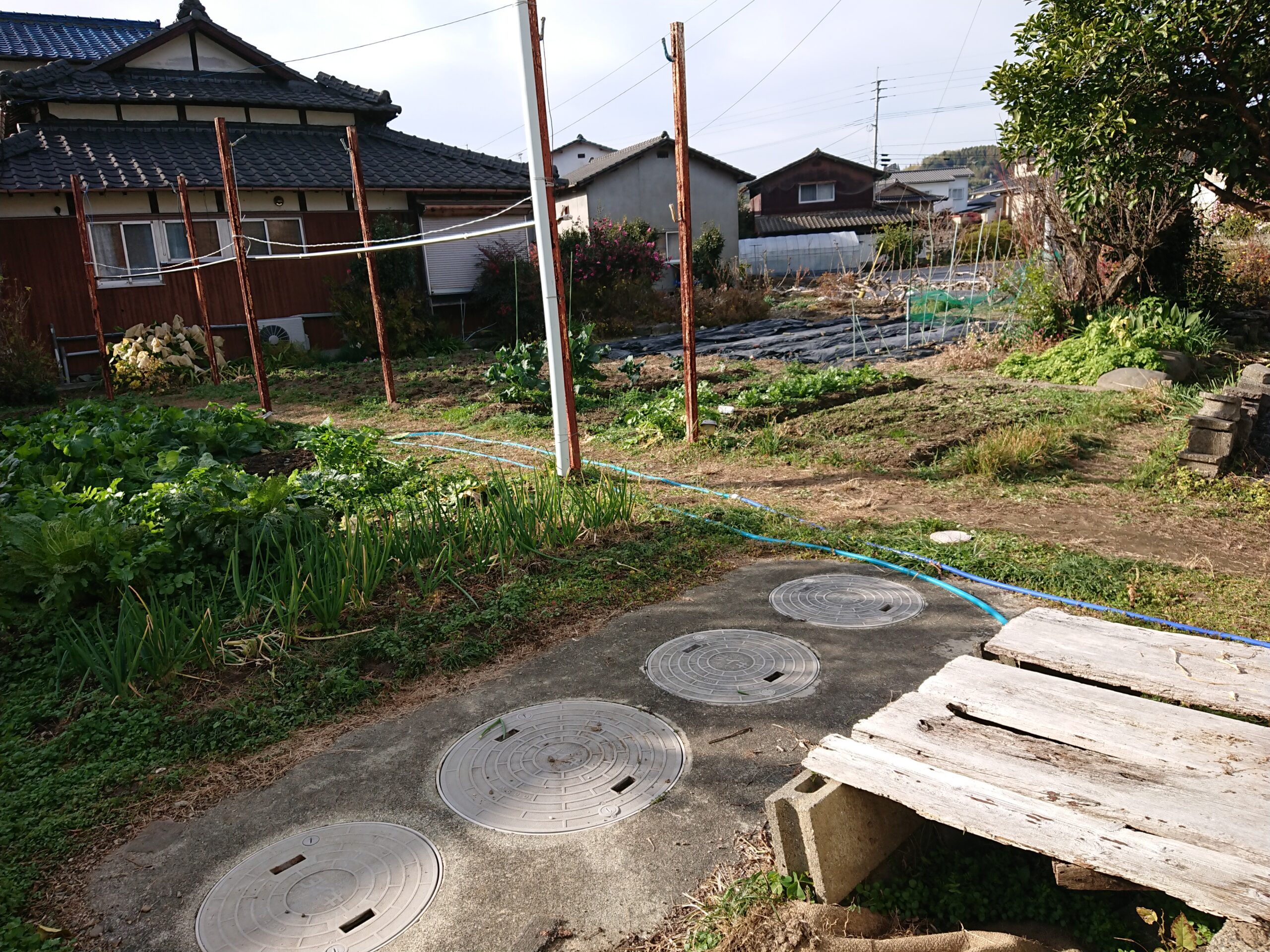 健康に関しては弱者に合わせるしかない