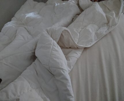 食べて良いパン