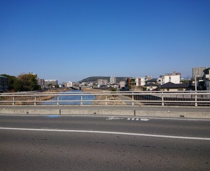 シュガードーナツ