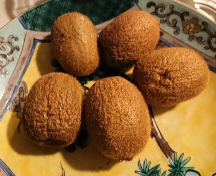 肉魚中心の生活