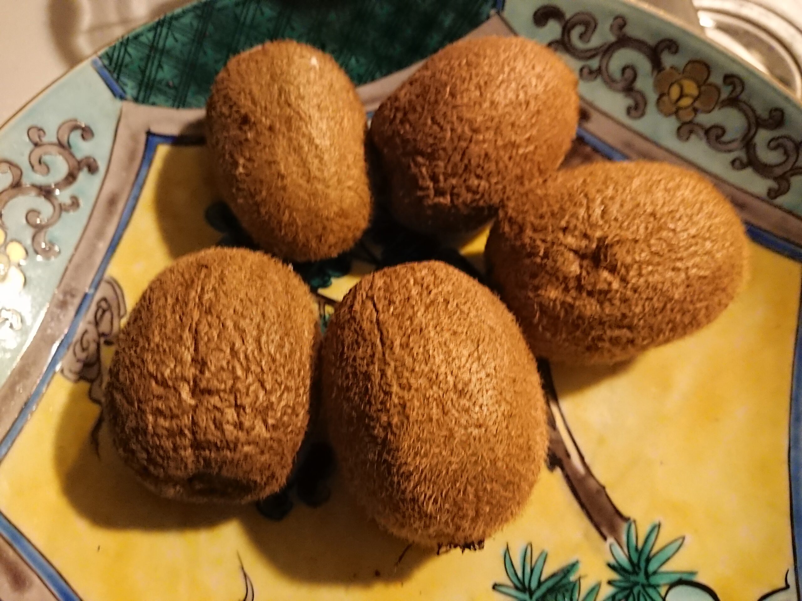 肉魚中心の生活