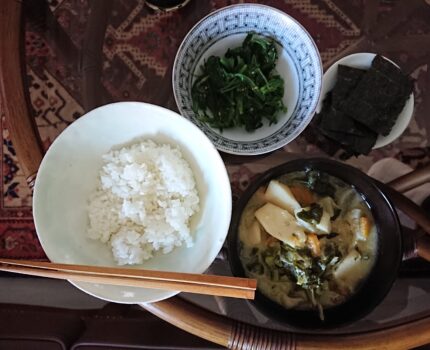 体内水分含有量