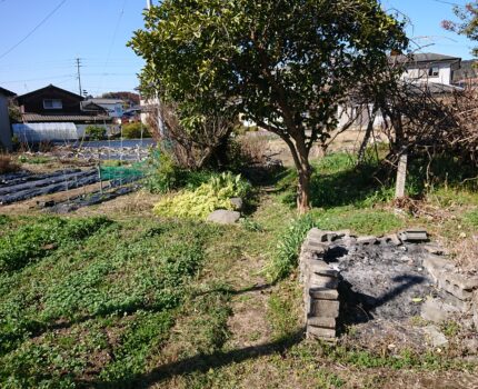 就寝前にセルフマッサージ