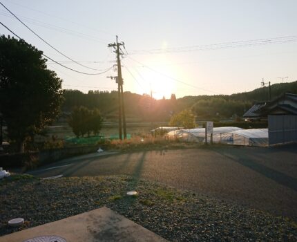 オーガニックより美味しい事が大切